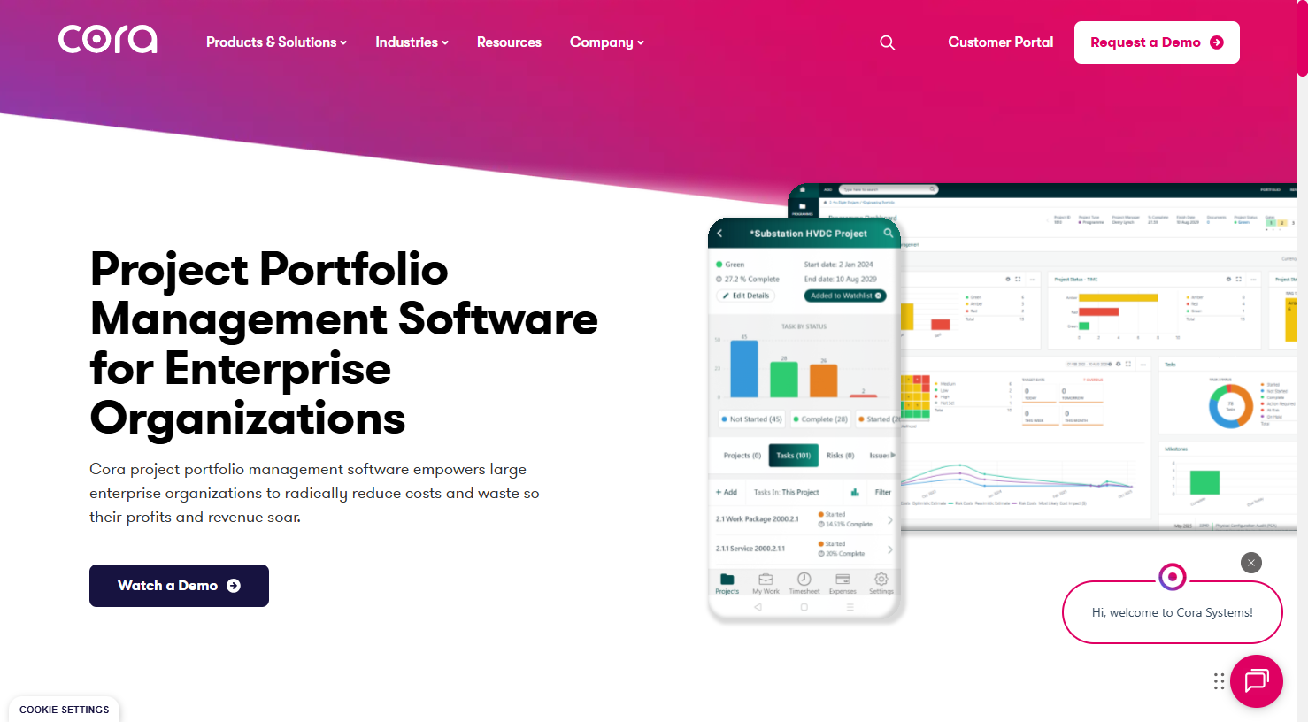 Cora Systems PPM enterprise portfolio management platform